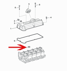 Seal ring Spark plug hole
